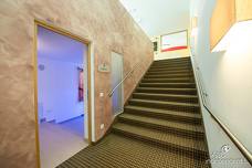Hotel Grüner Baum: Solarium
